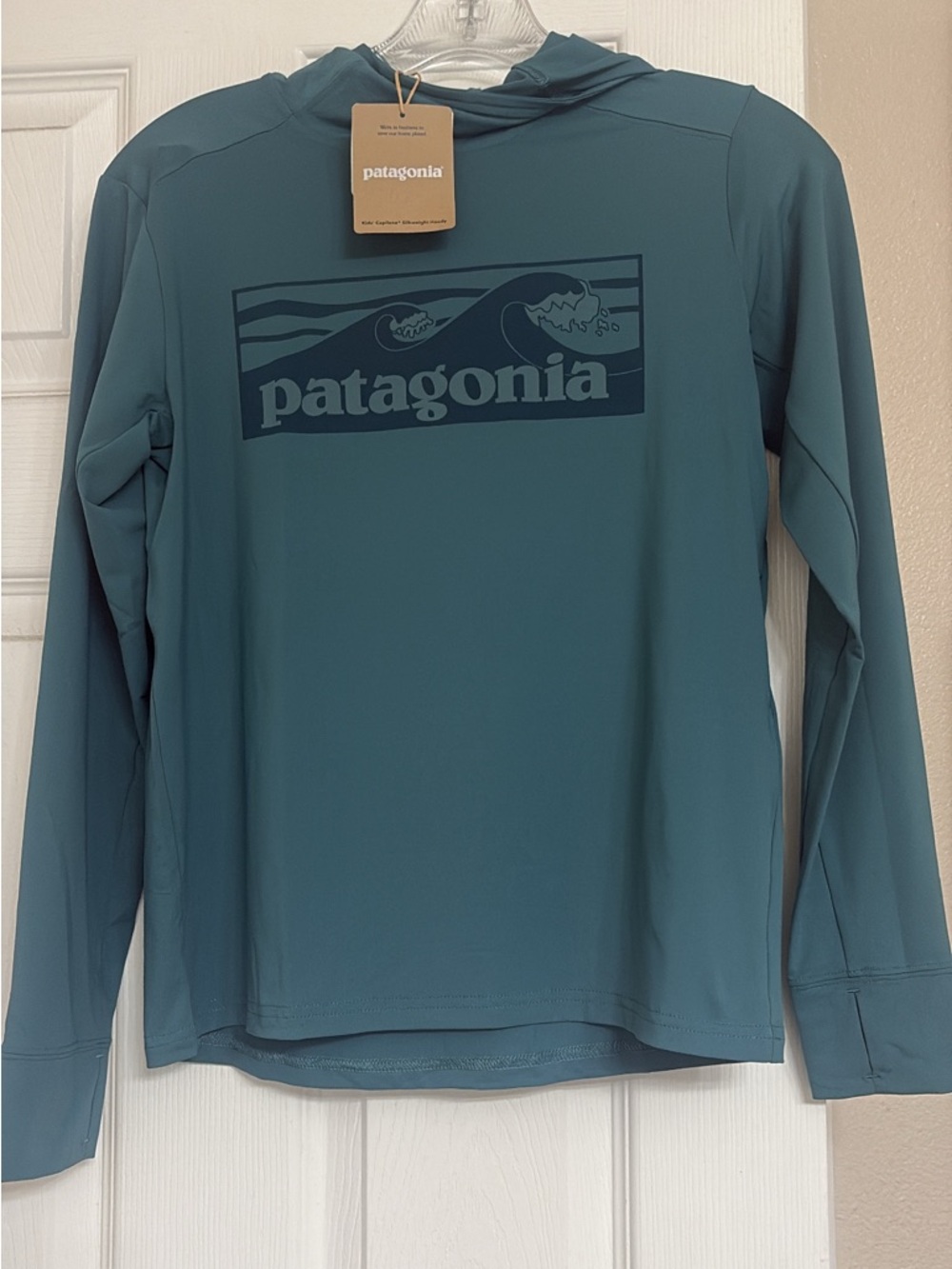 Patagonia Blue-Green Logo Hoodie kids Size L